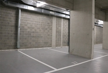parking_police_vignette